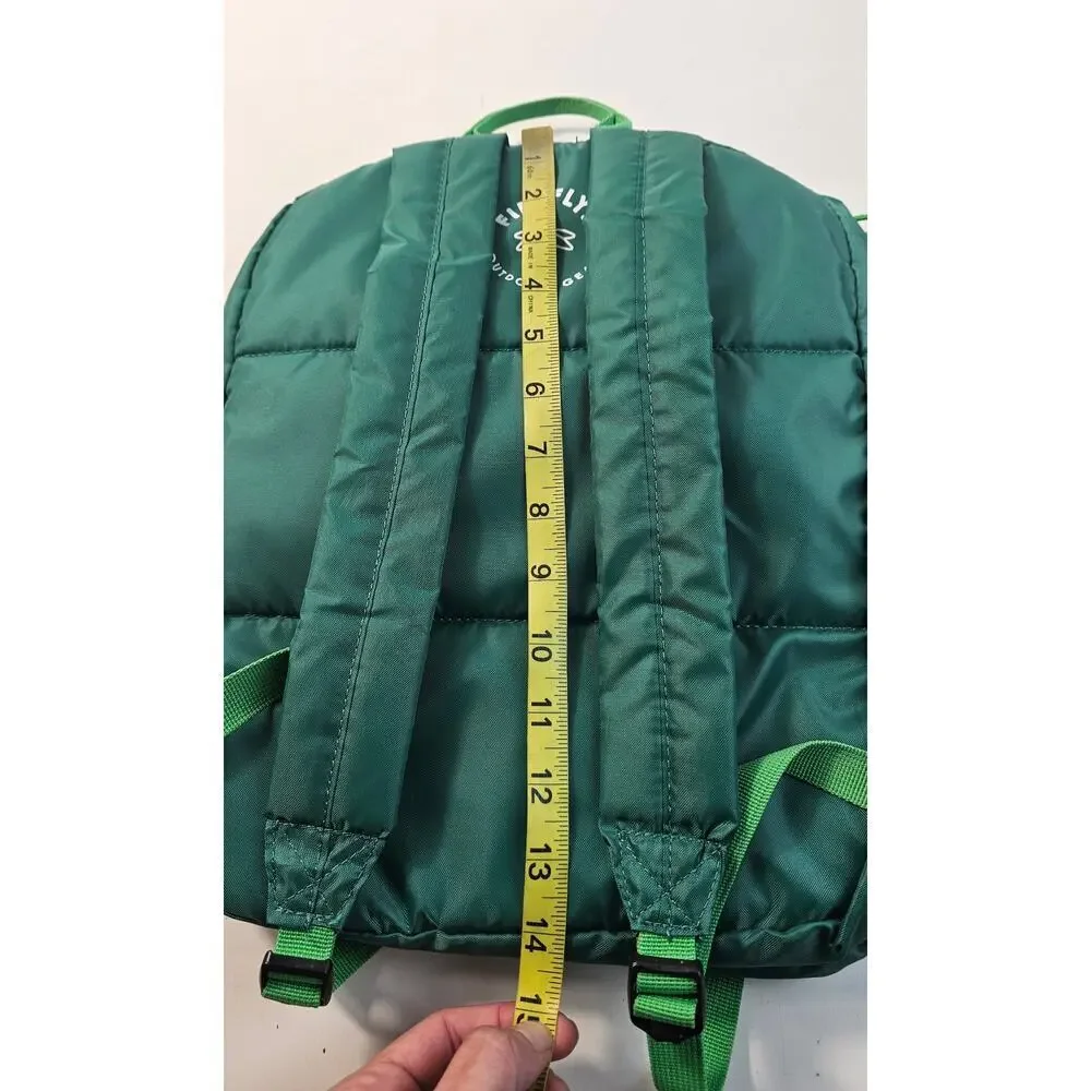 Firefly! Outdoor Gear Chip the Dinosaur Kid's Backpack - Green NWOT dino multi